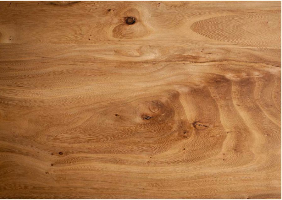 Elm